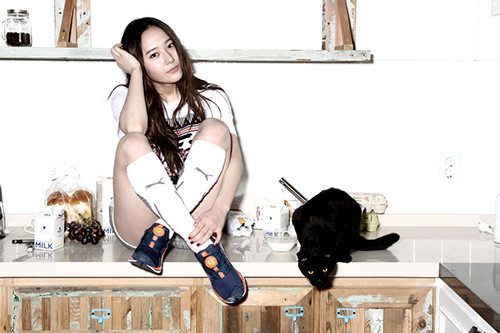 20140402 puma krystal 1 1