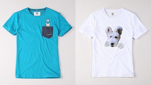 20140725_basichoues (2)