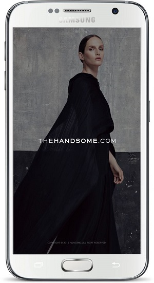 2016 02 16 handsome 2