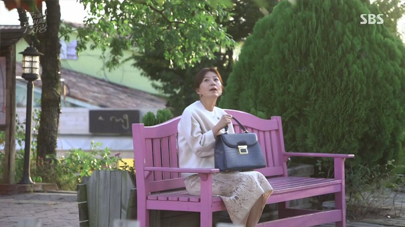 [TV STYLE] 김희애, 럭셔리 끝판왕 가방 어디꺼? | 1