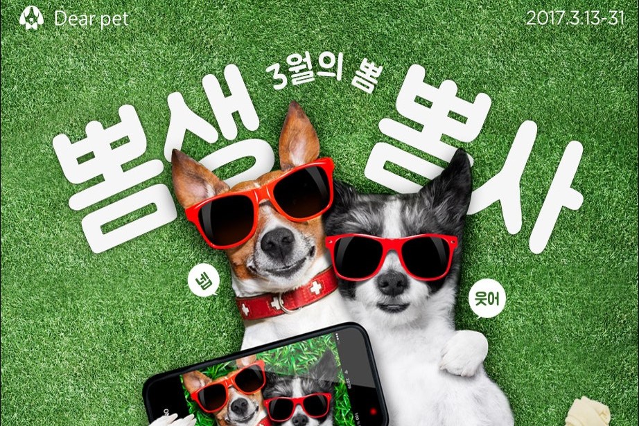 롯데닷컴, 반려동물상품 전문매장 ‘디어펫 마트’ 오픈 | 3