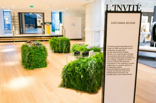 20170413 suecommabonnie 1