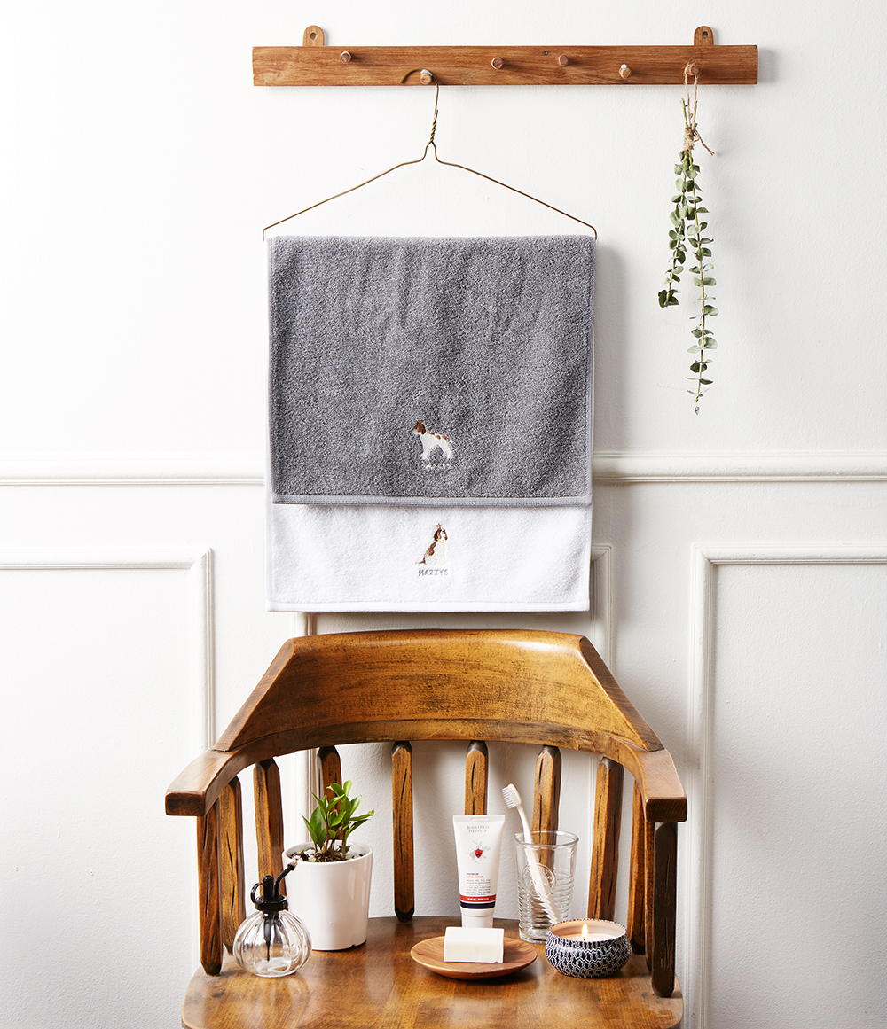 20170427 Hazzys Daily1 1