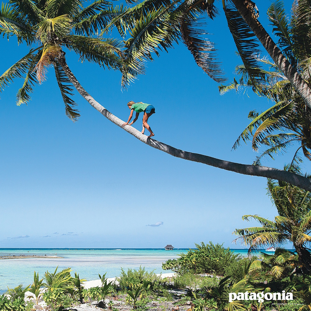 20170601 Patagonia Baggies Shorts5 2