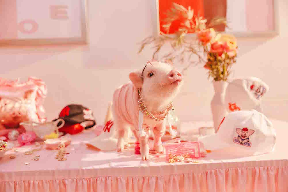 20190123 mlb 02 min 2