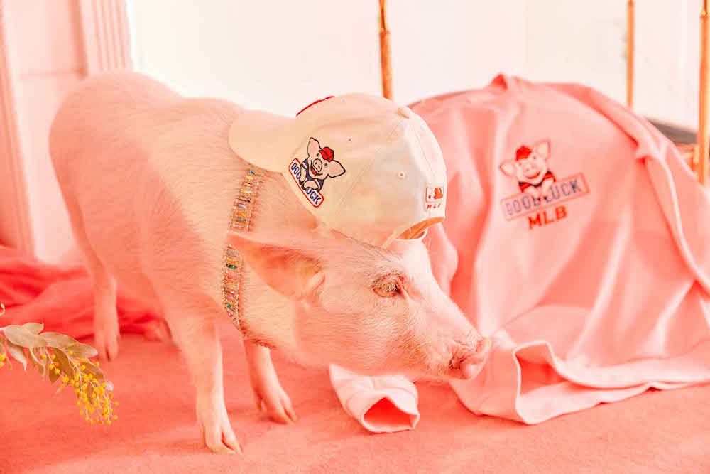 20190123 mlb 04 min 3