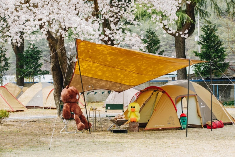 라인프랜즈, 일상처럼 편안한 캠핑을 선보이다 | 2