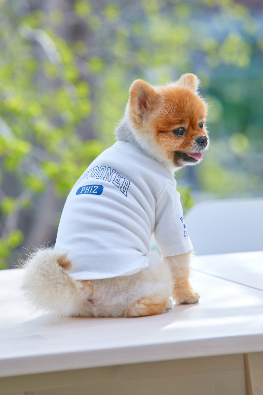 20190419 hazzys 03 3