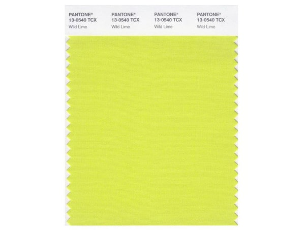 20191002 DUVETICA 01 5